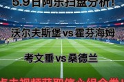 爱游戏体育下载-沃尔夫斯堡主场失利，难掩困境的简单介绍