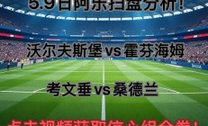 爱游戏体育下载-沃尔夫斯堡主场失利，难掩困境的简单介绍