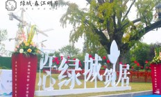 爱游戏体育官方入口-福建绿城客场告捷，实现连胜！的简单介绍