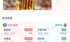 爱游戏体育官方入口-柏林赫塔主场战胜霍芬海姆，重拾信心的简单介绍