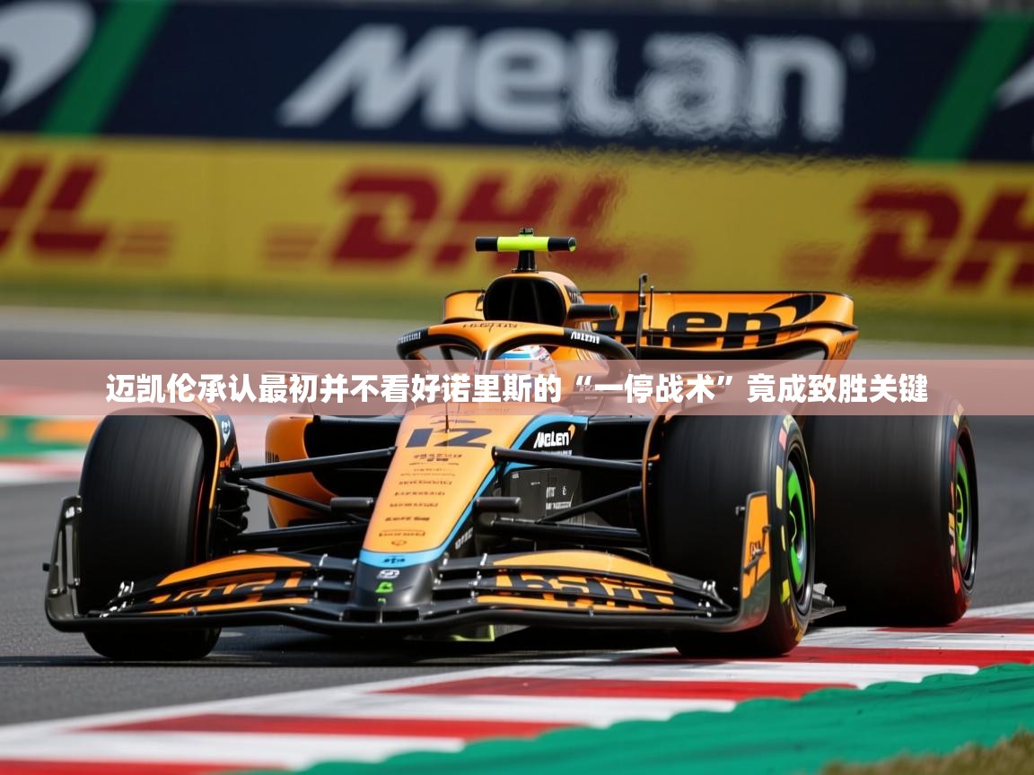 2025爱游戏登录网页入口迈凯伦承认最初并不看好诺里斯的“一停战术”竟成致胜关键 第1张