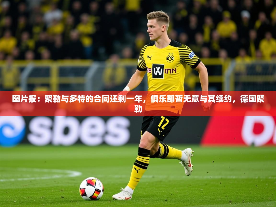 2025爱游戏图片报：聚勒与多特的合同还剩一年，俱乐部暂无意与其续约，德国聚勒  第2张