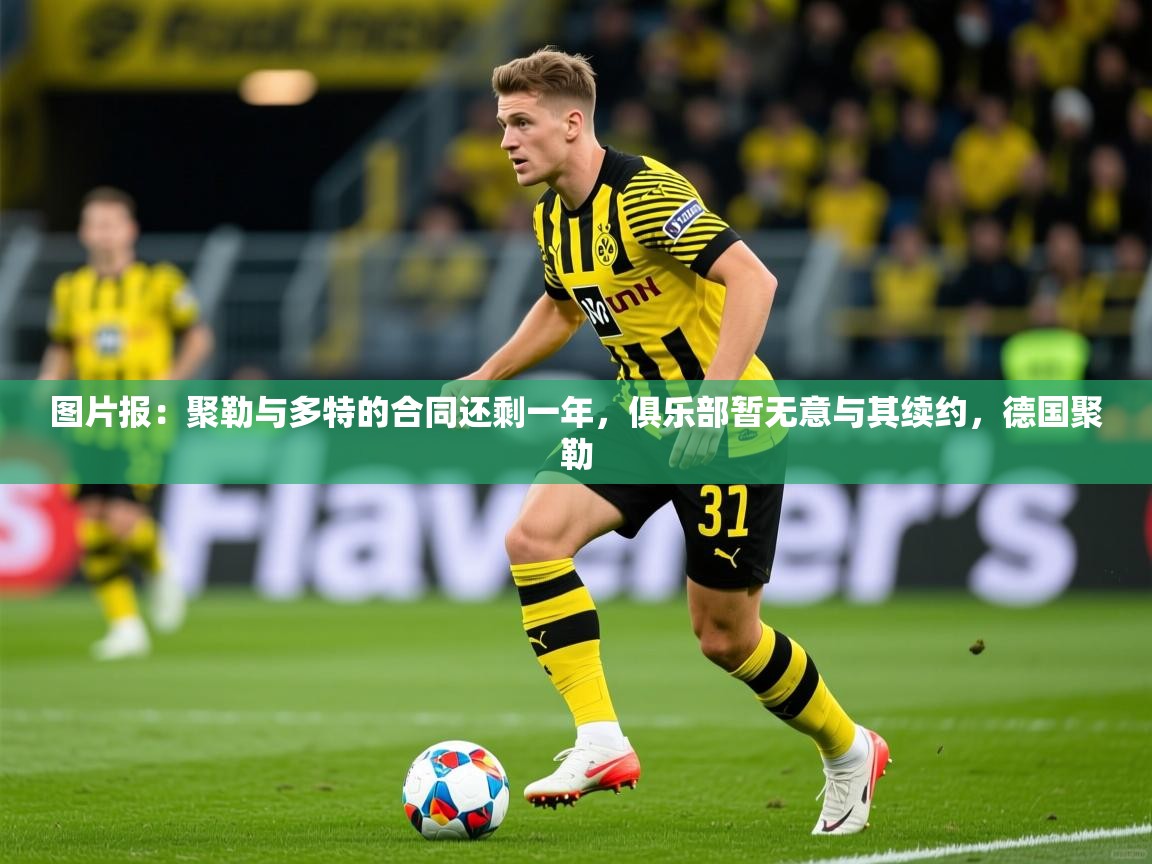 2025爱游戏图片报：聚勒与多特的合同还剩一年，俱乐部暂无意与其续约，德国聚勒  第4张