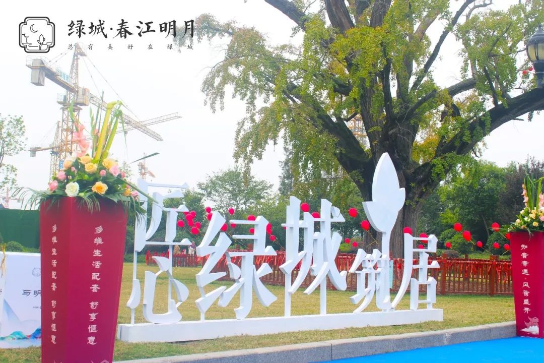福建绿城客场告捷，实现连胜！的简单介绍