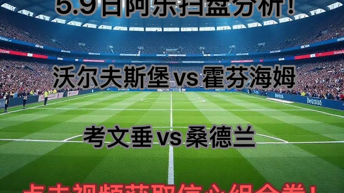 沃尔夫斯堡主场失利，难掩困境的简单介绍