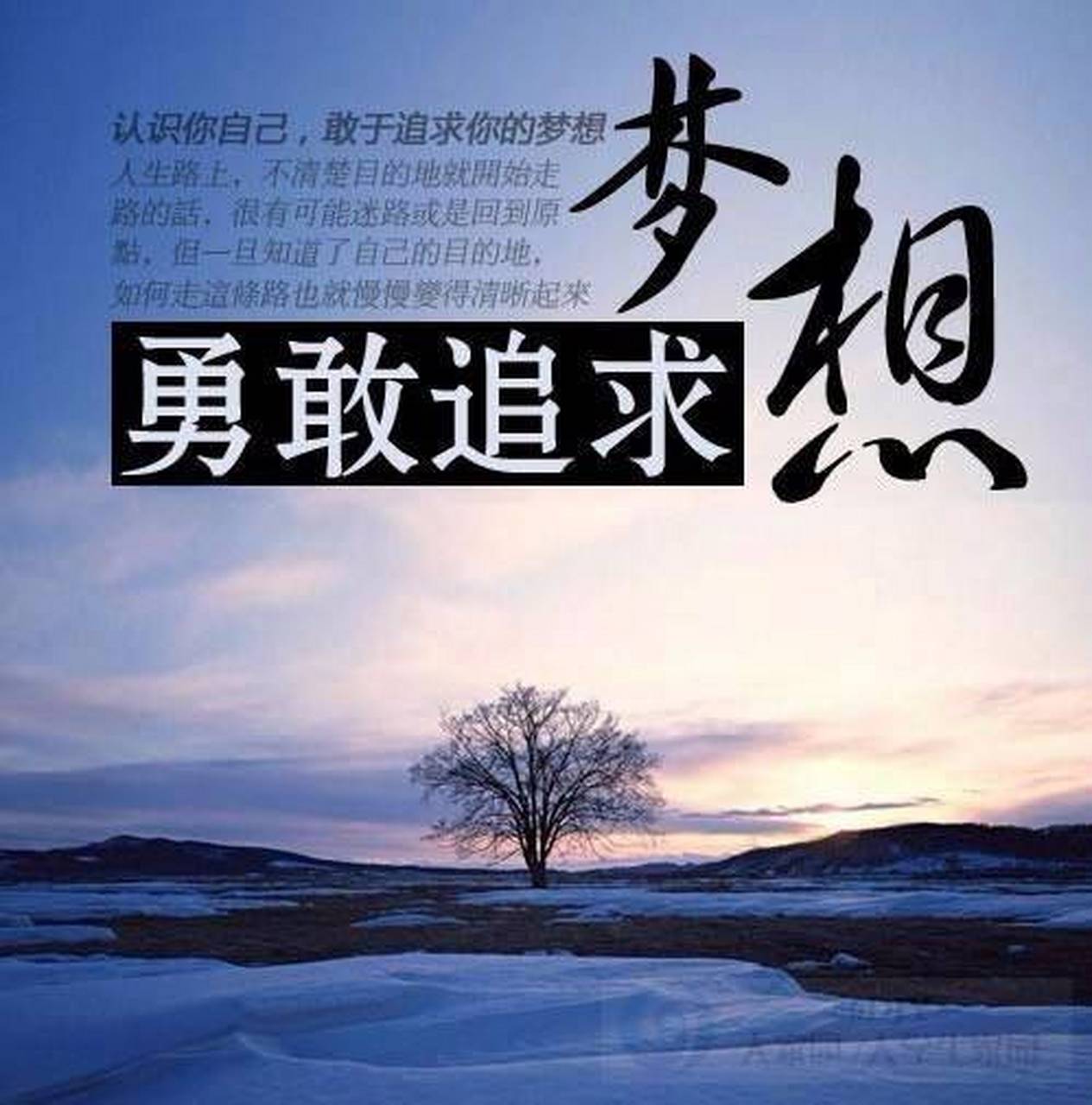 包含里尔在接下来的比赛中将努力追逐胜利的词条